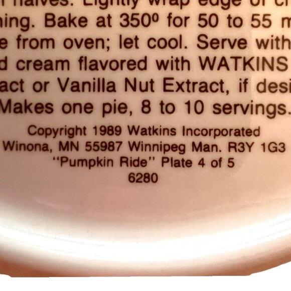 Vtg 1989 WATKINS Country Kids Pumpkin Pie Plate w/ Recipe 10.5" diameter x 2" h - Picture 11 of 11